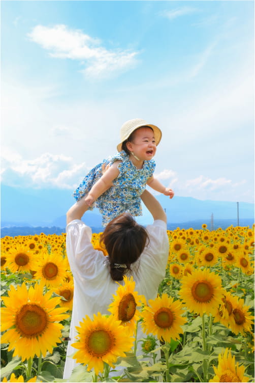 last 〒 第１０弾 ご当地フォルムカード 山梨【ひまわり】 〒 710B5FfJjtL._UF350,350_QL50_.jpg