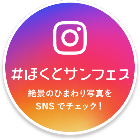 「#ほくとサンフェス」絶景のひまわり写真をSNSでチェック！