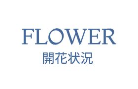 開花状況