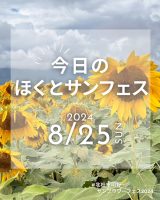 2024.8.25 update