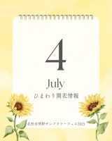 2025.7.4 update