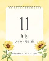 2025.7.11 update
