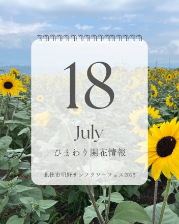 2025.7.18 update