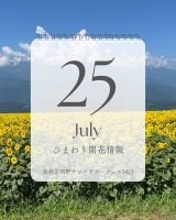 2025.7.25 update