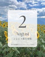 2025.8.2 update