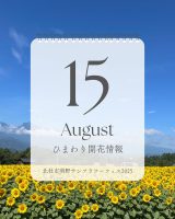 2025.8.15 update