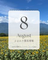 2025.8.8 update